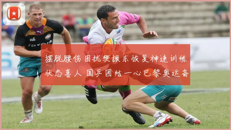 摆脱腰伤困扰樊振东恢复神速训练状态喜人 国乒团结一心巴黎奥运备战信心空前