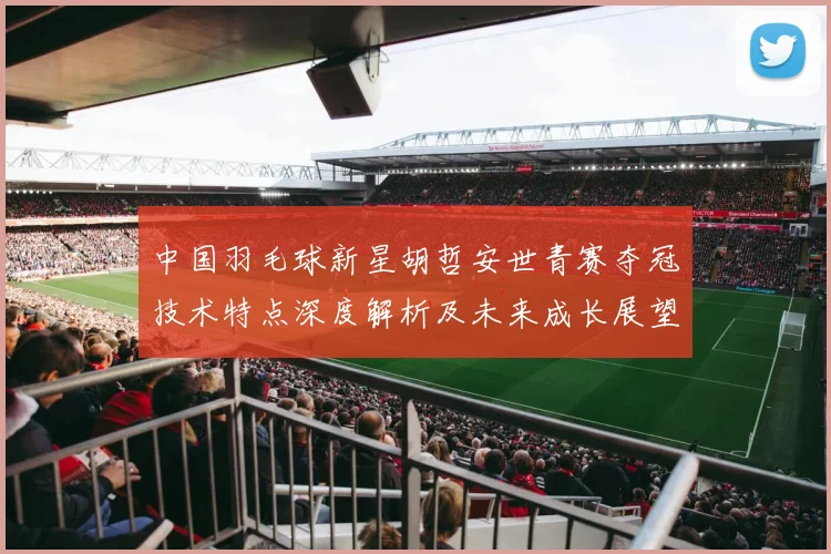 中国羽毛球新星胡哲安世青赛夺冠技术特点深度解析及未来成长展望